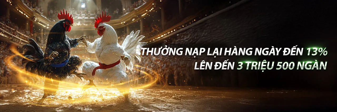 Đá Gà Trực Tuyến 888t0p